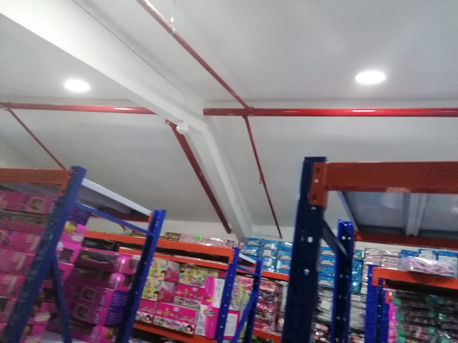 Rociadores en Bodega
